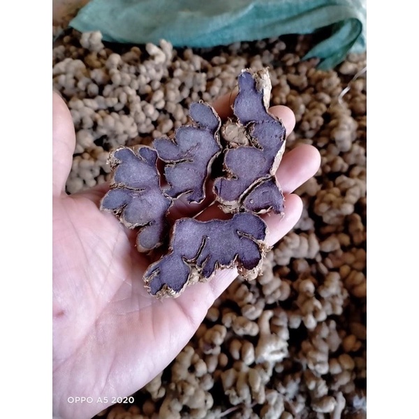 Gừng đen khô Yên Bái /ngải đen khô 1kg