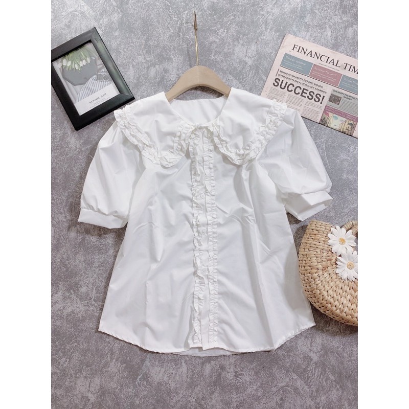 ÁO SƠ MI TAY CỘC CỔ SEN BÈO | BigBuy360 - bigbuy360.vn