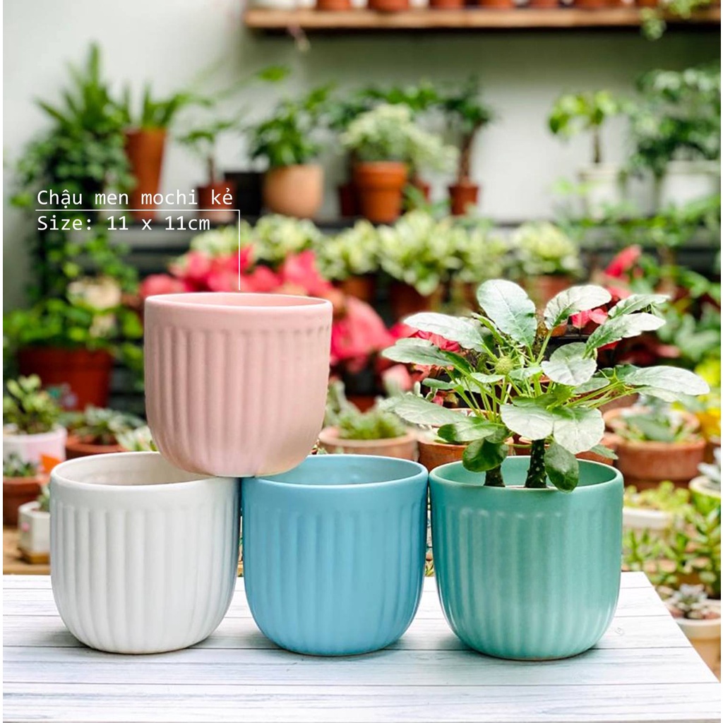 Chậu sứ trồng cây cảnh để bàn 11-13cm dáng bo đáy kẻ sọc