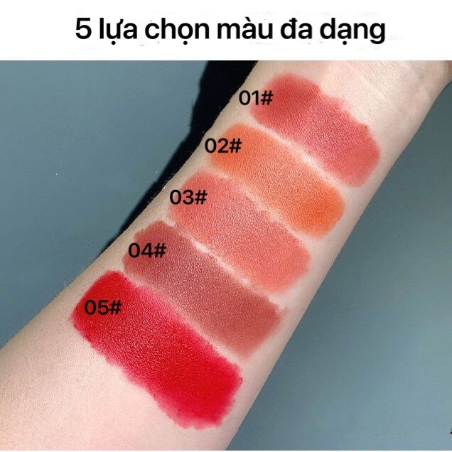 Son kem CVZ mềm mịn lâu trôi Zhizhi velvet Soft mist Lip mud CVZZ07