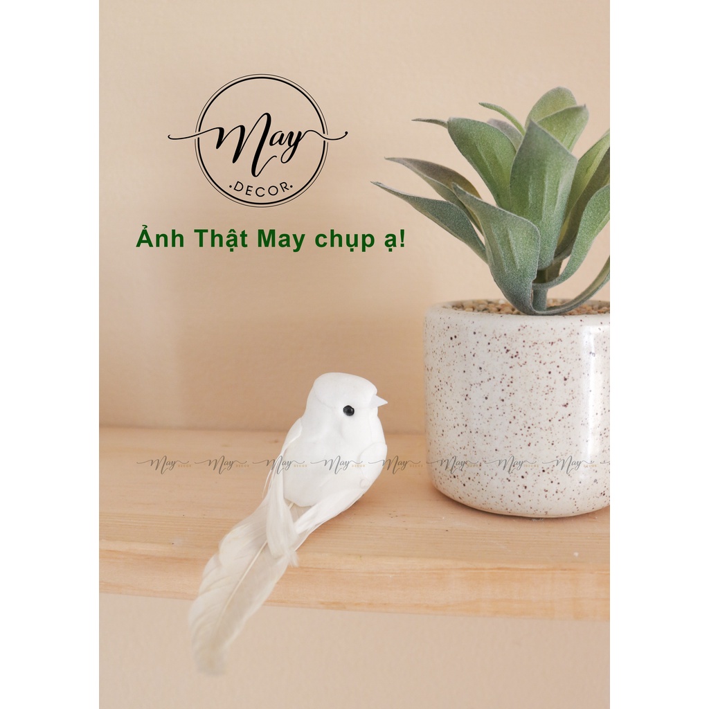 Sen đá giả kèm chậu sứ vân cát