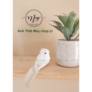 Cây giả,Sen đá giả kèm chậu sứ vân cát