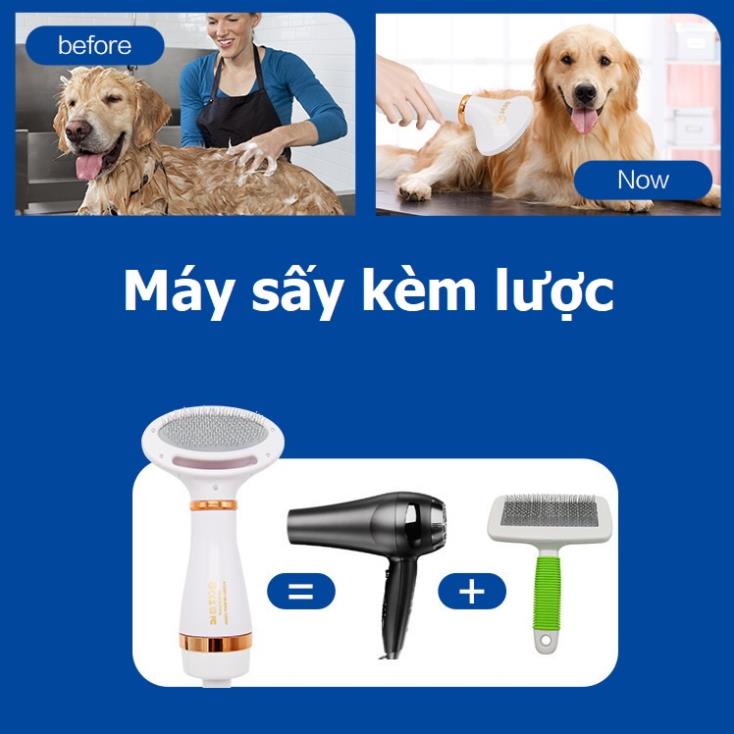 Máy sấy lông chó mèo kèm lược dùng cho thú cưng nhỏ PH820
