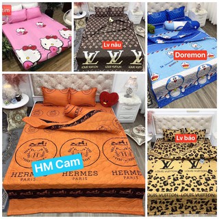 Sét Chăn Ga Gối Poly Cotton