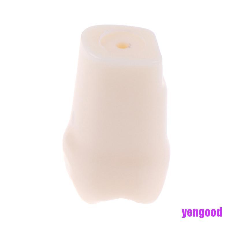 Bộ 28 Mô Hình Răng Giả Bằng Nhựa Tiện Dụng