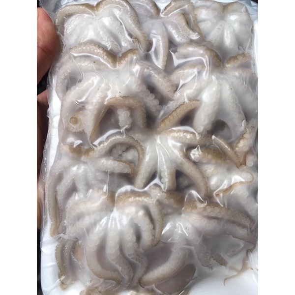Bạch tuộc sữa 500gr