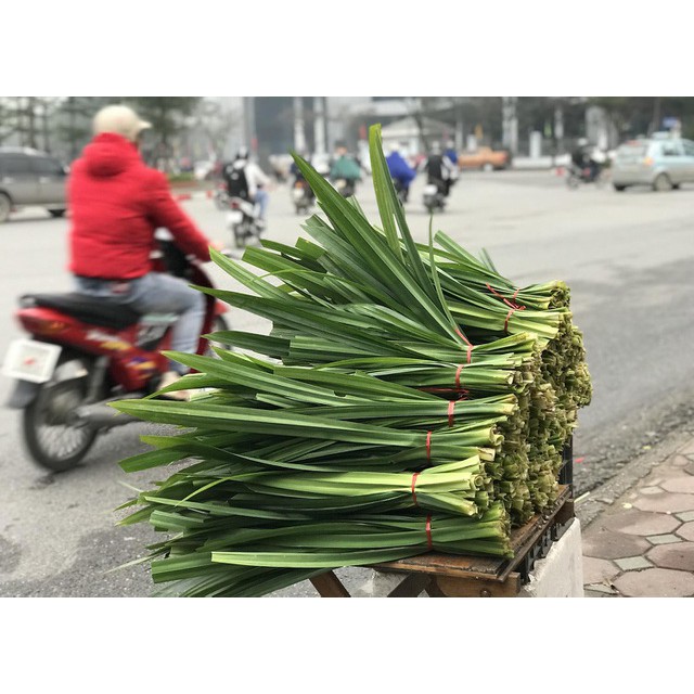 Lá Dứa Thơm - Lá Nếp tươi (1kg)