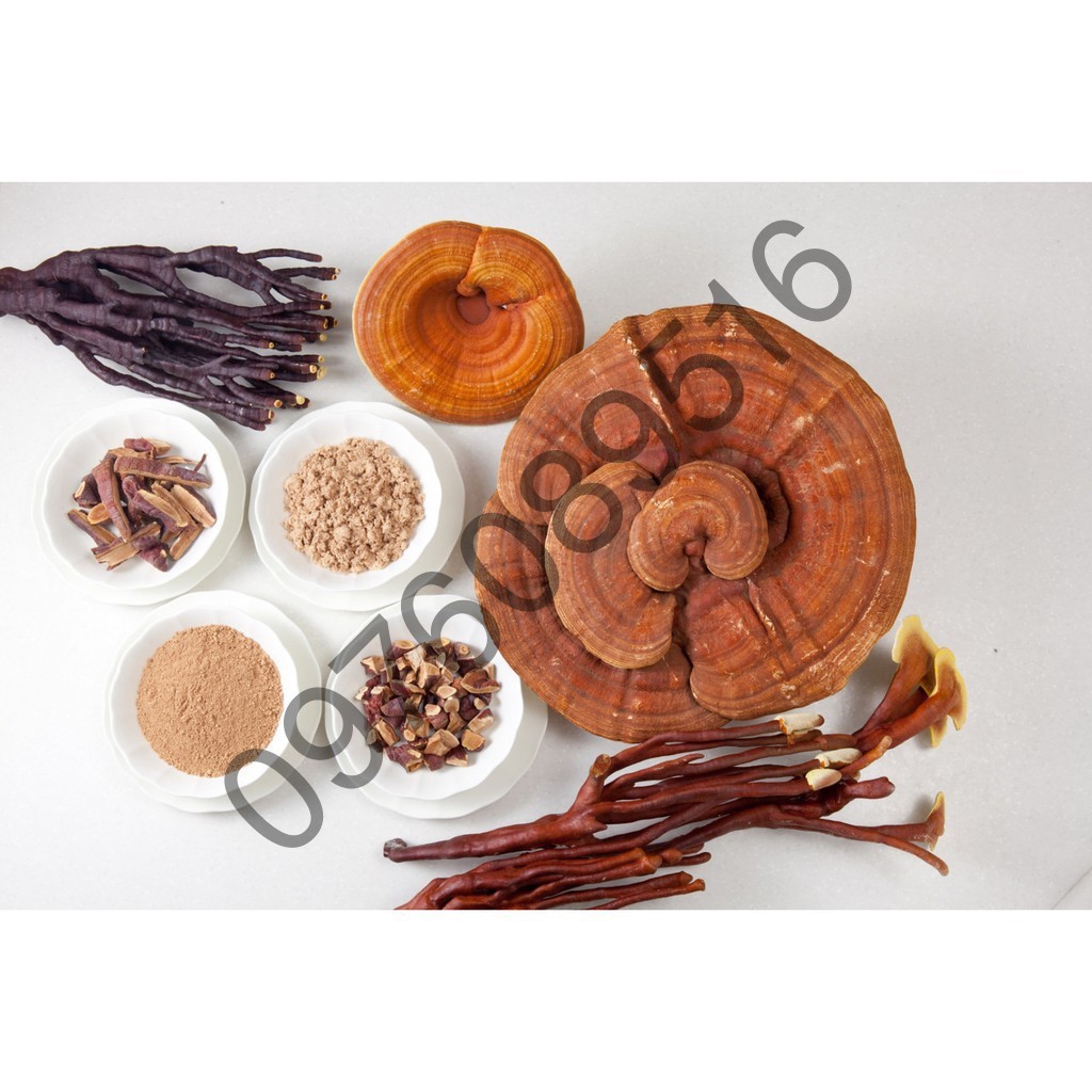 Nấm Linh Chi Vàng Chanh HÀN QUỐC, Túi Xanh 1KG