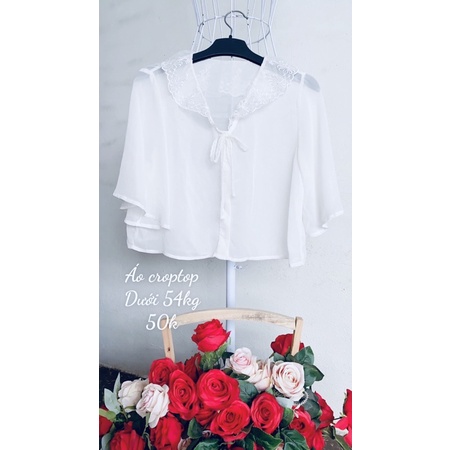 Áo kiểu dáng croptop