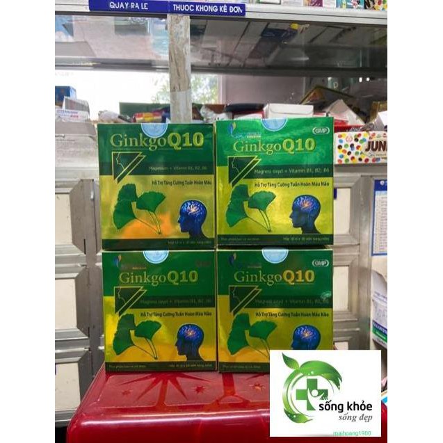 Bổ Não Ginkgo Q10- hỗ trợ tăng cường tuần hoàn máu não