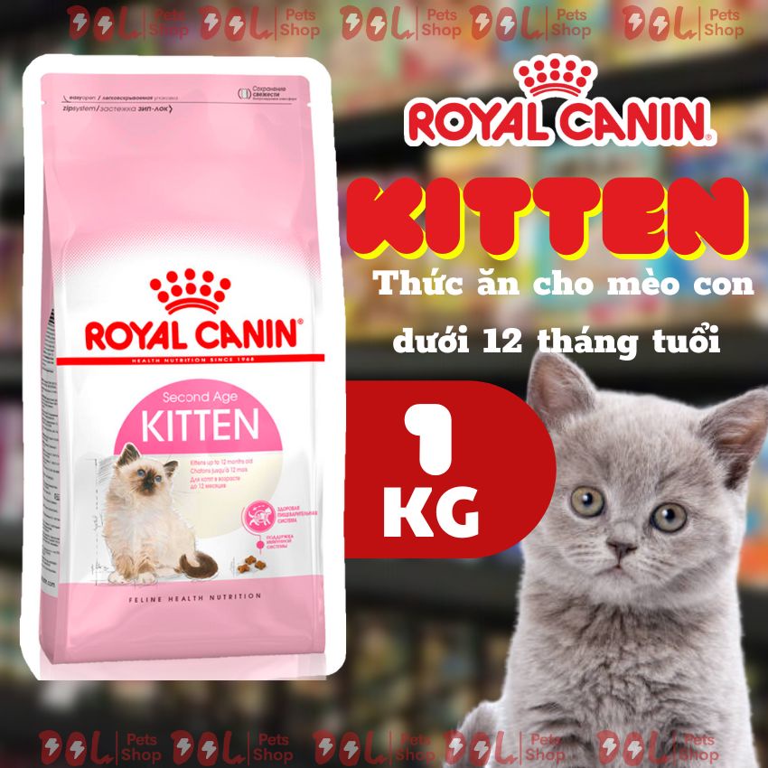 Royal Canin Kitten  - Thức ăn hạt cho mèo con dưới 12 tháng tuổi