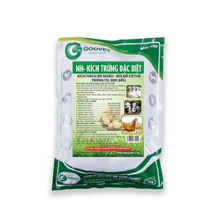 Kích trứng đặc biệt cho gà, vịt, ngan, ngỗng, cút