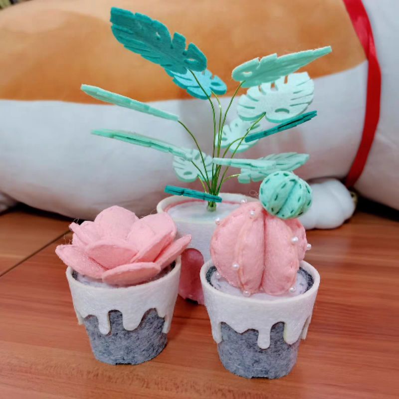 (HÀNG ORDER) Set nguyên vật liệu làm chậu sen đá handmade.