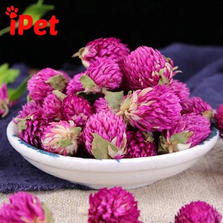 Hoa bách nhật sấy khô cho hamster 10gr - ipet shop