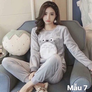 Combo bộ totoro