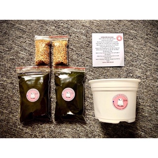 Bộ Kit 2 lần trồng cỏ lúa mạch