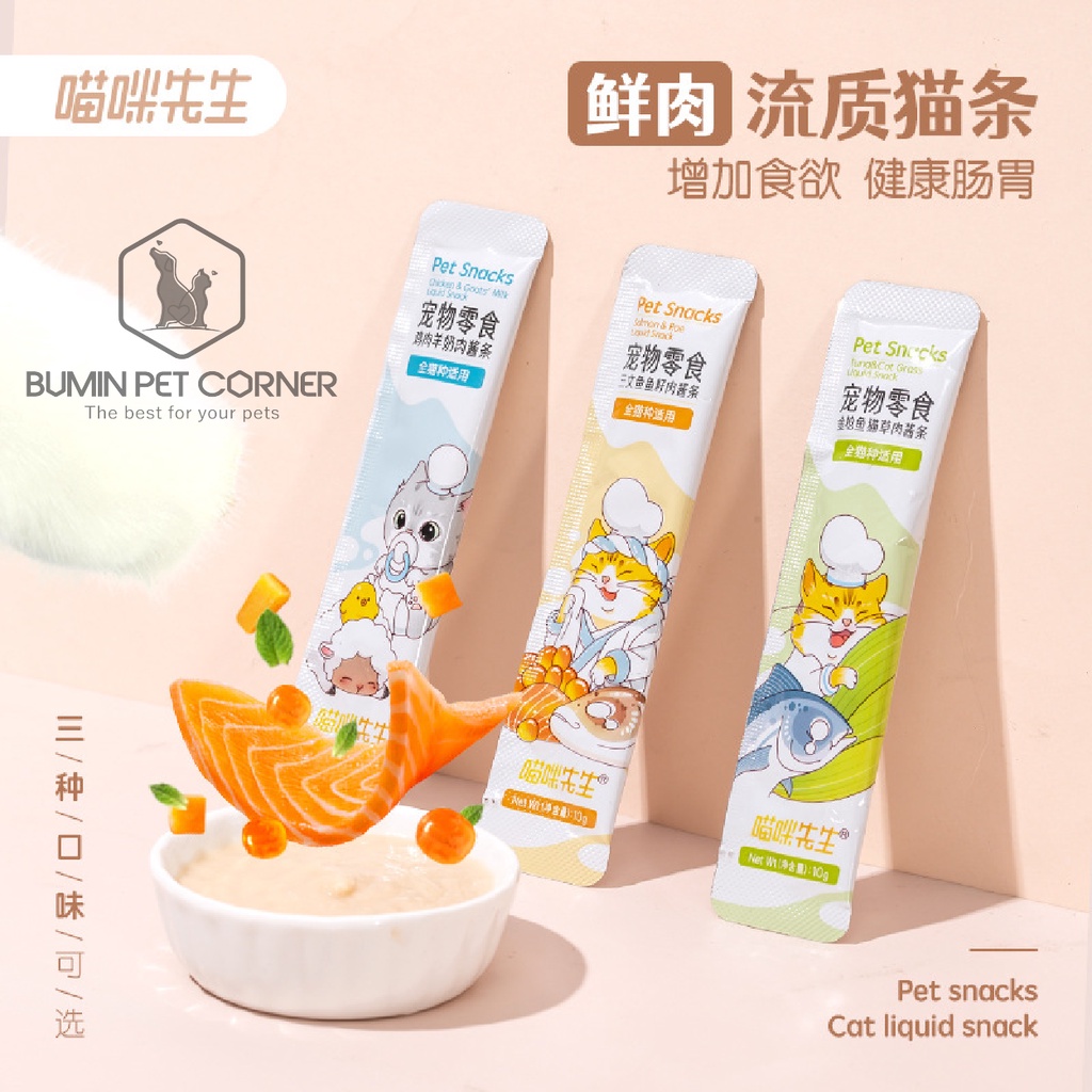 Combo 10 thanh Súp thưởng cho mèo Mr. Meow thanh 15g - Bumin Pet Corner