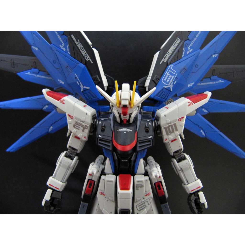 Mô Hình Lắp Ráp Gundam RG Freedom