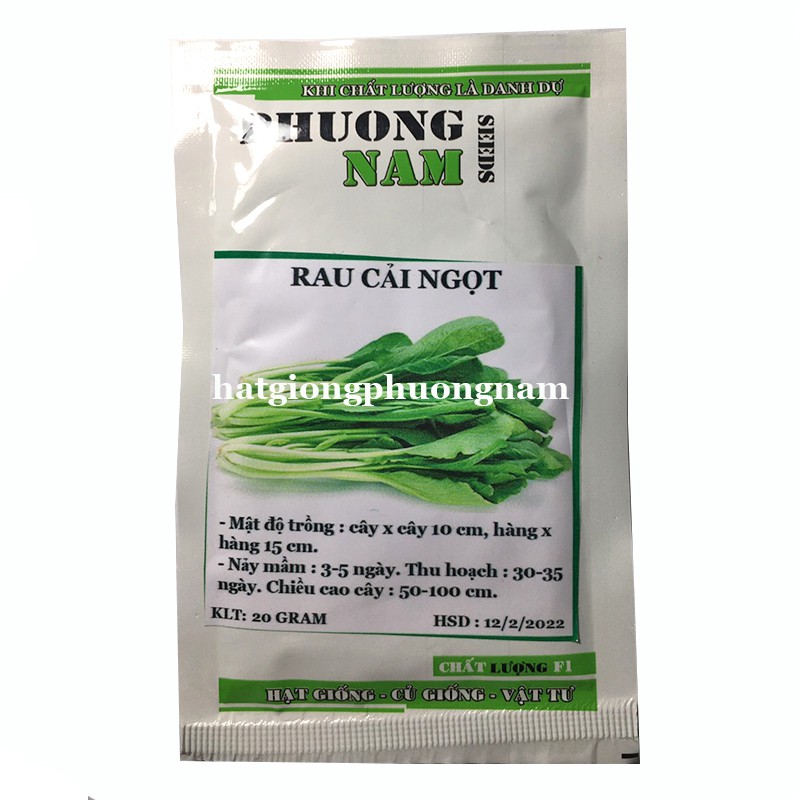 20GR - HẠT GIỐNG CẢI NGỌT