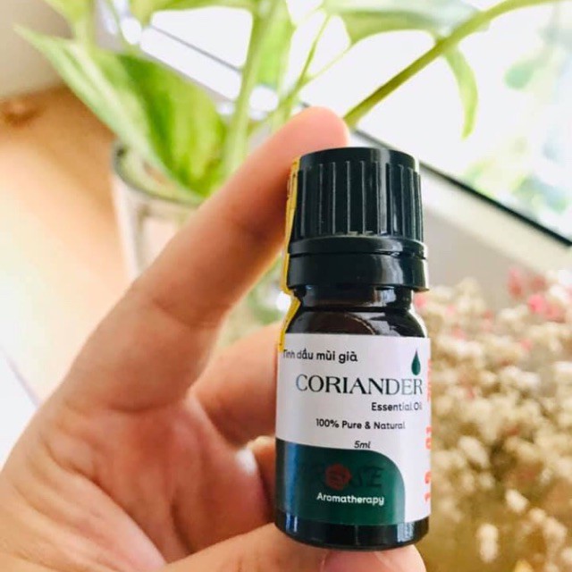 Tinh dầu mùi già Coriander (5ml) - Karose