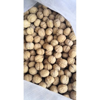 SIÊU RẺ ÓC CHÓ NẾP 500GR