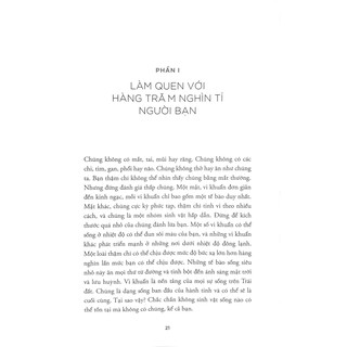 Sách - Ăn Gì Bổ Não (Medinsight)