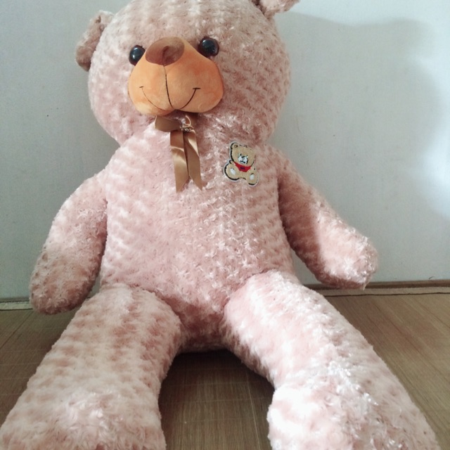 Xả gấu teddy giá rẻ