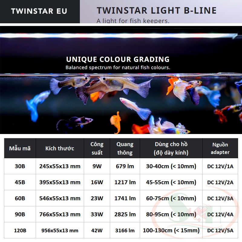 [Xả hàng tồn] Đèn led Twinstar B-Line 90B, 120B quang phổ cao cấp bể cá tép thủy sinh