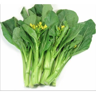 20GR - HẠT GIỐNG CẢI NGỌT ĂN BÔNG 4.7