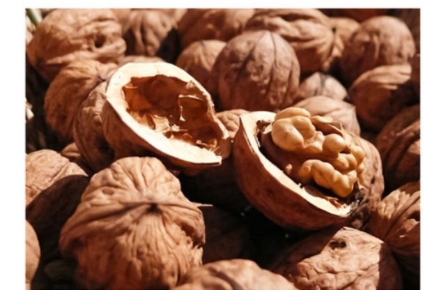 [RẺ VÔ ĐỊCH]Kem Tẩy Da Chết Body Và Mặt Chiết Xuất Từ Bơ và Hạt Óc Chó VENZEN hũ lớn | BigBuy360 - bigbuy360.vn