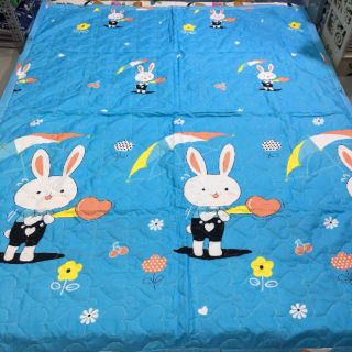 Bộ drap Cotton nguyên bộ 5 món