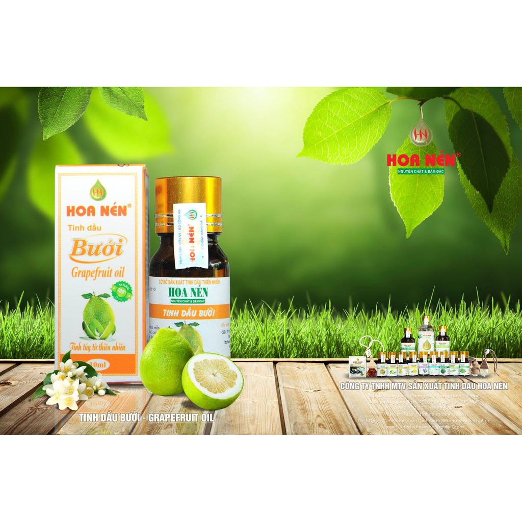 TINH DẦU BƯỞI 10ML – GRAPEFRUIT OIL | BigBuy360 - bigbuy360.vn