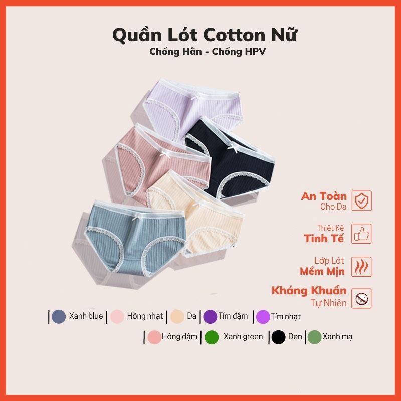 Quần lót nữ Cotton nơ viền ren phối lưới siêu cute KIMCHIBIKINI chip mềm mại thoáng mát xinh đẹp dễ thương QL085
