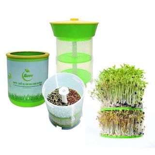 Thiết bị làm rau mầm Happy của Tiến sĩ Đỗ Ngọc Chung