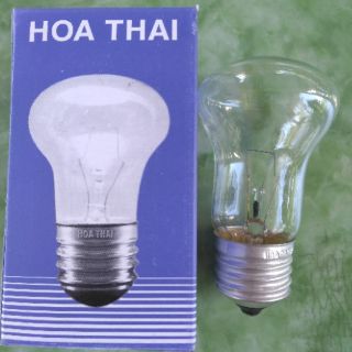 Đèn máy ấp trứng - bóng trong suốt hoặc đục