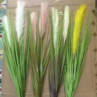 Cành cỏ lau giả 5 bông to trang trí nhà cửa sự kiện.