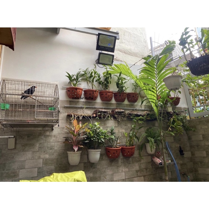 Chậu gốm ốp tường trồng cây trang trí tường hoa, ban công