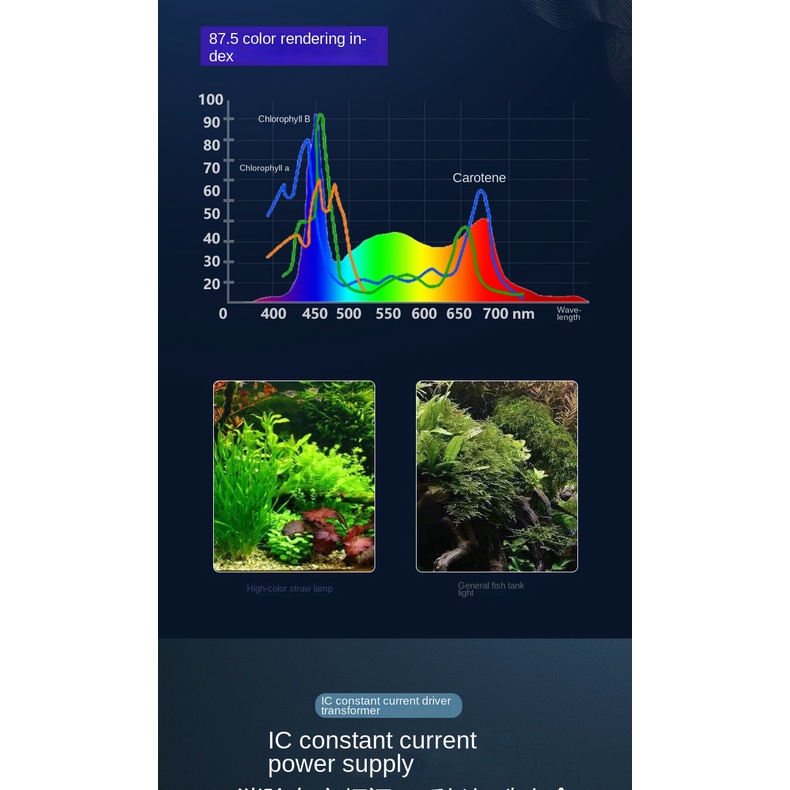 Đèn LED Chống Nước Kích Thước Nhỏ Tiết Kiệm Năng Lượng Cho Bể Cá