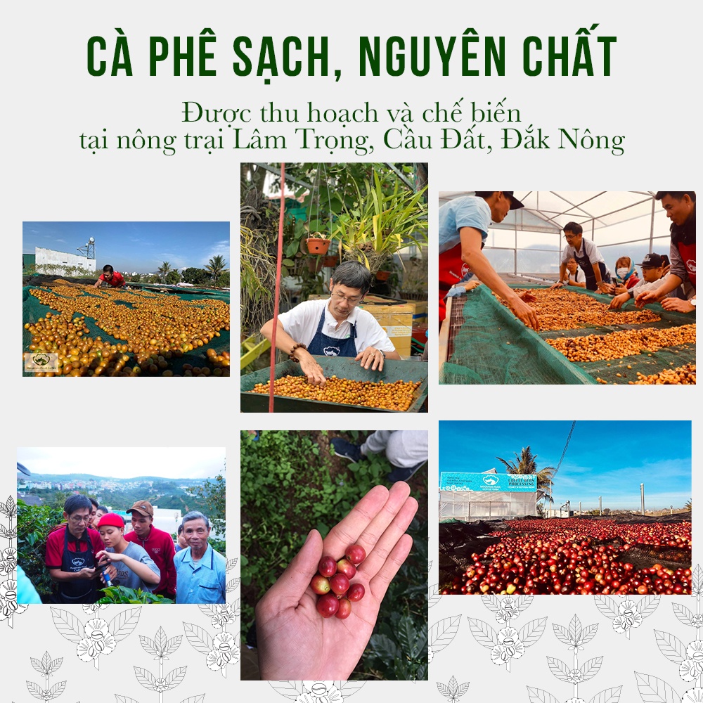 Cà phê nguyên chất AMORE  100% ARABICA CẦU ĐẤT RANG MỘC pha máy, pha phin từ Mountain Pearl Roastery.