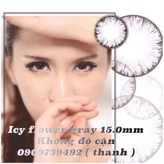Lens xám Icy gray giãn tròng