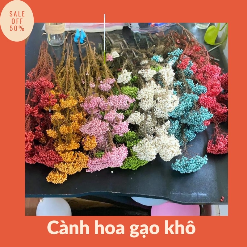 Hoa Gạo khô trAng trí nhà cửa ❤️ cắm hoa để bàn ❤️ làm tranh handmade, phụ kiện decor