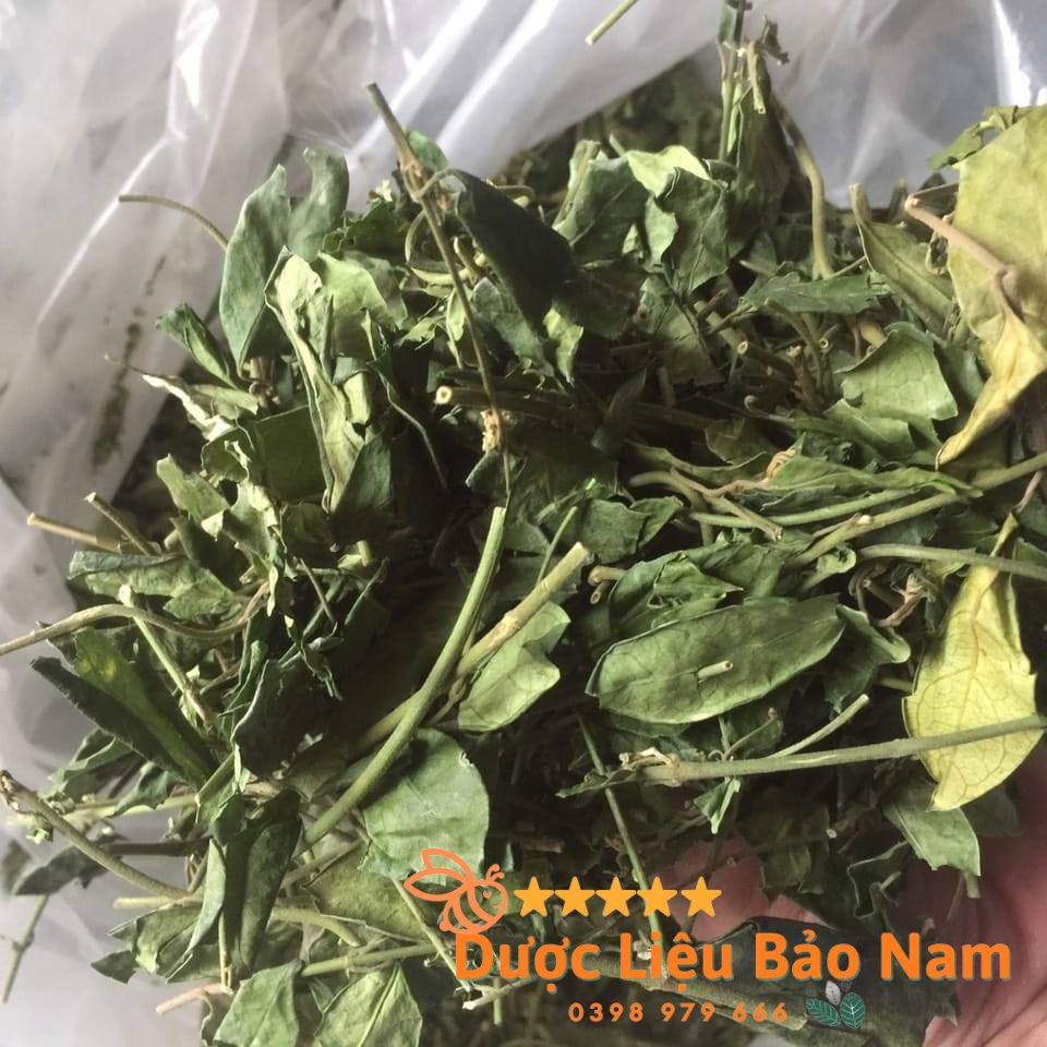 Dây thìa canh phơi khô thơm xanh đẹp -1kg