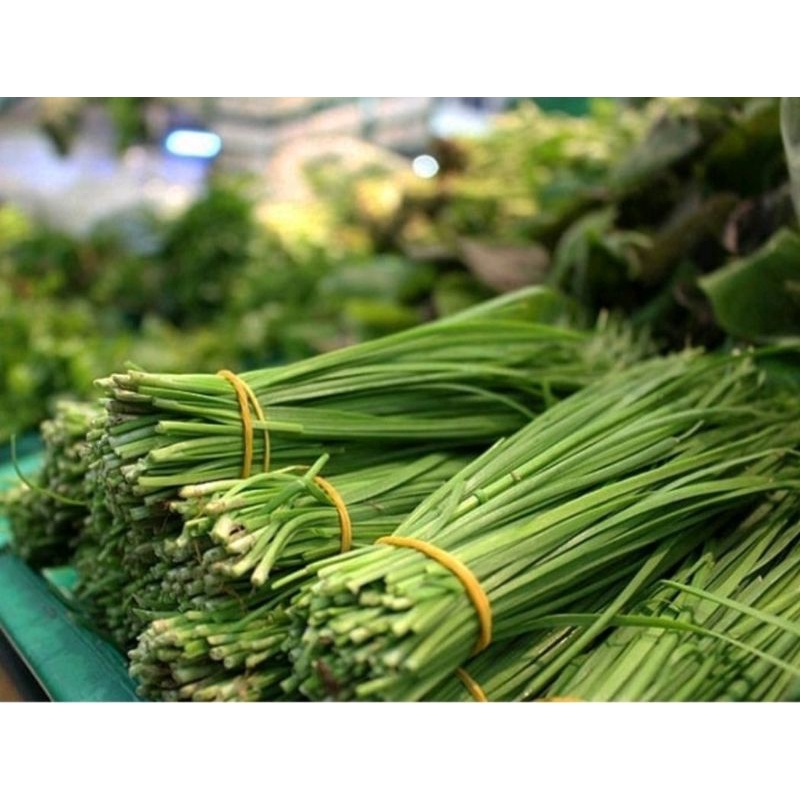 100 Củ Hẹ