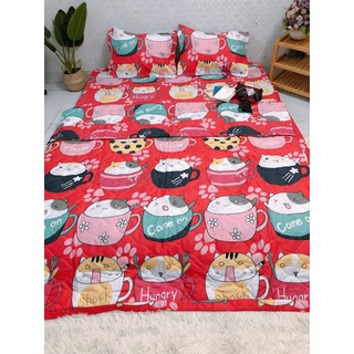 Bộ ga gối chăn hè 5 món poly cotton