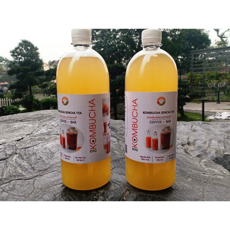 KOMBUCHA SENCHA TEA - HỮU CƠ/CHAI NHỰA - RẺ - TIỆN DỤNG (Nguyên Chất Thô - chuyên dùng cho pha chế )