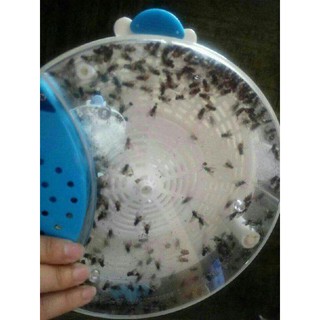 Máy Bắt Ruồi Tự Động