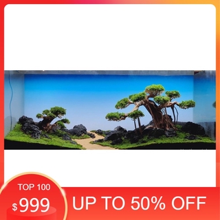 Tranh dán bể cá 3d nhiều kích thướt ( 60x40, 80x40, 80x50 , 90x50, 100x50...)