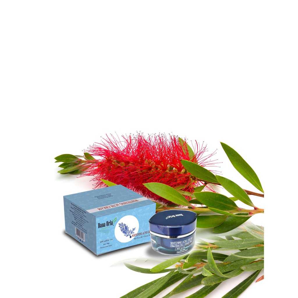 Kem Làm Trắng Da, Giảm Mụn, Giảm Thâm Tinh Dầu Tràm Trà DANA ORLA Whitening Acne Cream 20 gram
