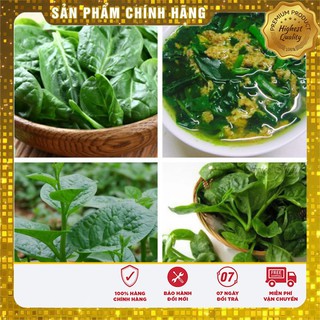Hạt giống rau mồng tơi cao sản - 10g (gói lẻ)