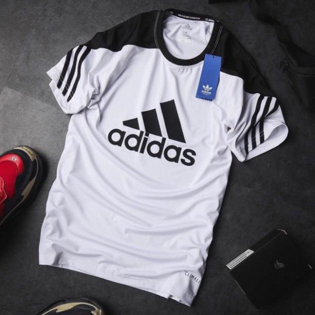 ALBUM 224 - ÁO THUN VNXK COTTON PHỐI MÀU